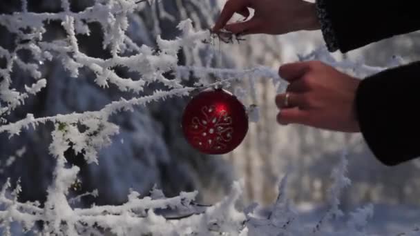 Decoração de Natal ao ar livre férias tema alegre mãos — Vídeo de Stock