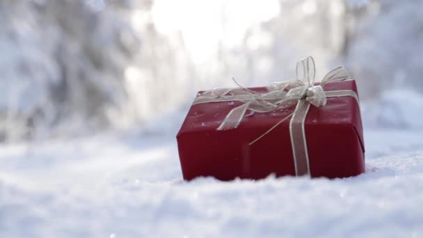 Presente de Natal ao ar livre neve caindo fundo — Vídeo de Stock