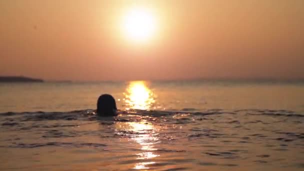 男子游泳在日落背景高清 — 图库视频影像
