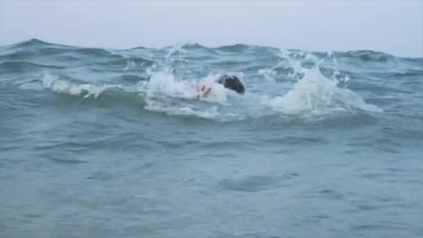 Человек в костюме утонул в штормовом море — стоковое видео