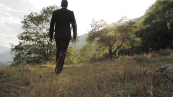 Sucesso Caminhando Homem Terno Natureza Montanha Parque Vitória Conceito — Vídeo de Stock