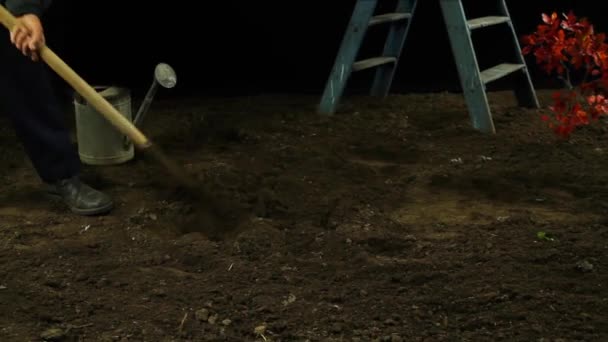 Mujer Plantando un Árbol Jardinería Concepto Ecología HD — Vídeo de stock