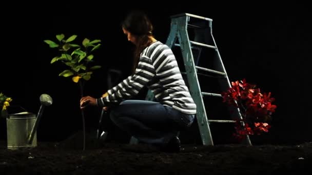 Weibchen pflanzen einen Baum im Garten — Stockvideo