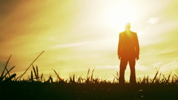 Man aanbidding Pose succes vrijheid vreugde aard zonsondergang godsdienst — Stockvideo