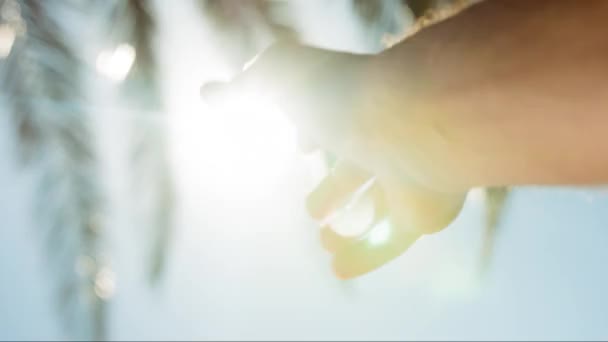 Sonne saubere Energie Spiritualität Hand in Hand mit der Sonneneruption Urlaubsreisen Hoffnung Sommerfreiheit Umweltkonzept uhd — Stockvideo