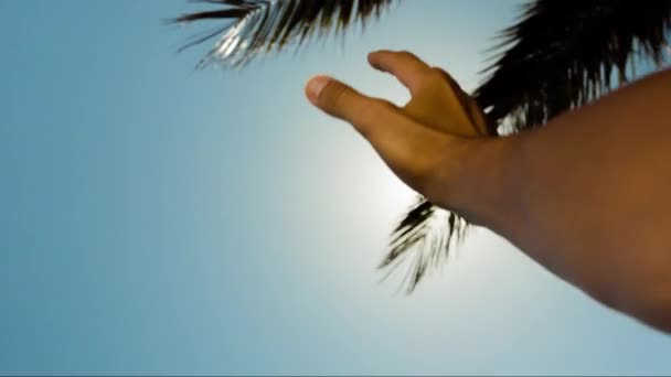 손 에서 태양 플레어 휴가 여행 희망 여름 자유 태양 청정 에너지 영성 환경 개념 Uhd — 비디오