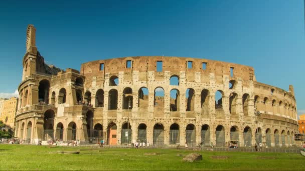 ツリー ヴィンテージ 夏春コリセウム イタリア ローマ建築アリーナ コロシアム ランドマーク ローマ円形劇場 古代ヨーロッパ歴史 ローマ有名なイタリアの遺跡 — ストック動画