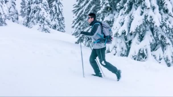 雪のハイキング トレッキング屋外歩行の男性人山バックパック活動極端なハイキング嵐ブリザード男寒い冬木の白い装置 — ストック動画