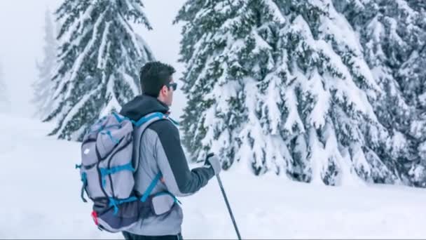 Drzewo osoba Sport Człowiek natura twarz Zima Snow turystyka Blizzard zimno Trekking Walking mężczyzna ludzie górski plecak aktywność ekstremalne wycieczka burza — Wideo stockowe