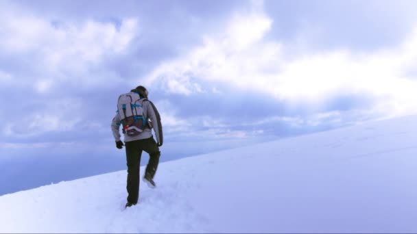 Man celebrating success on mountain — Stock Video