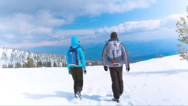 Wanderpaar feiert Erfolg beim Klettern — Stockvideo