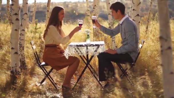 Романтический пикник на природе — стоковое видео