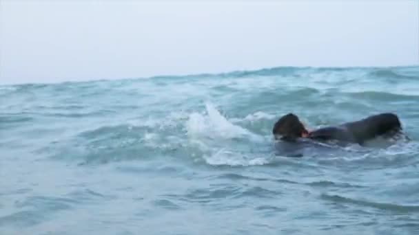 Mann schwimmt im Meer — Stockvideo