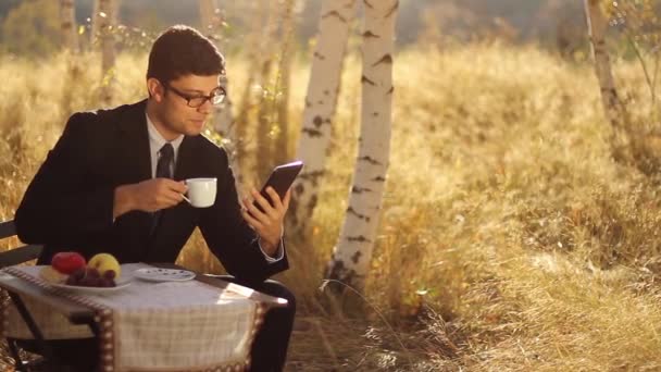 Zakenman met behulp van pc in de natuur — Stockvideo