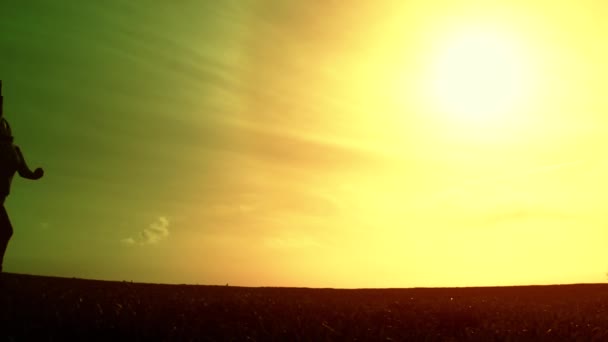 Woman with Balloons running on Meadow — Stok video