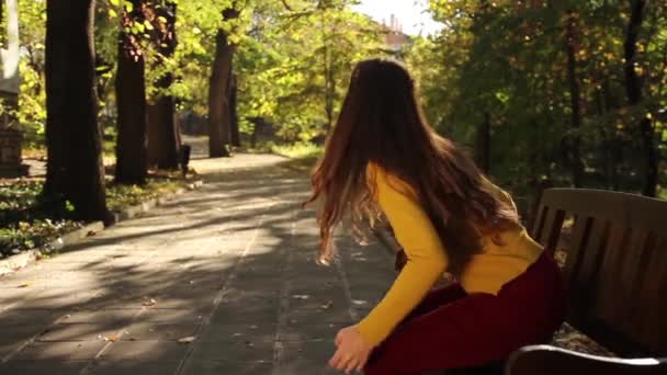 Жінка вигулює геть — стокове відео