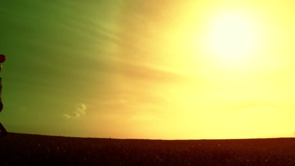 Woman with Balloons running on Meadow — Stok video