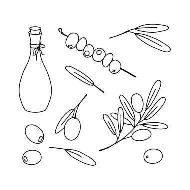 Zeytin seti, el çizimi vektör çizgisi çizimi. Sette eşarp, yapraklar, zeytinler, bir şişe zeytin yağı ve şişte zeytin var..