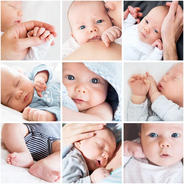 Yeni doğan bebeğin fotoğrafları kolaj bir