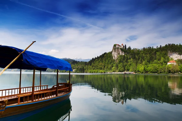 Vue imprenable sur le lac Bled. Printemps ou été en Slovénie . — Photo