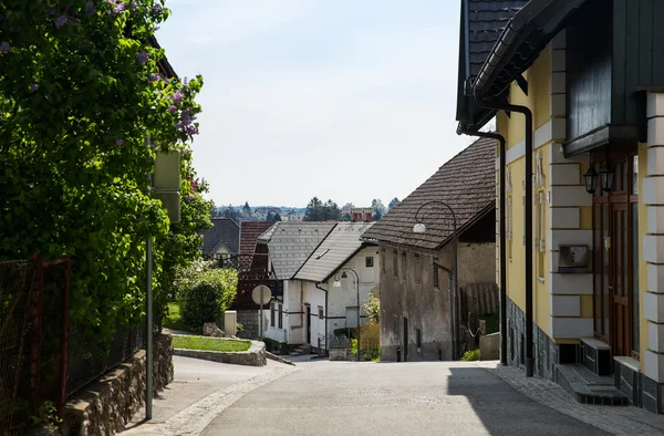 Vesnice, Bled, Slovinsko — Stock fotografie