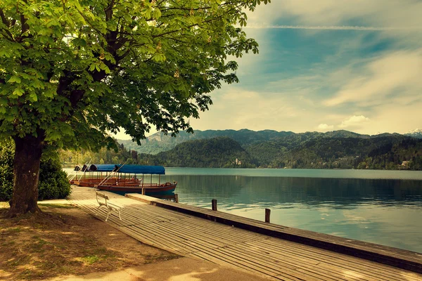 Úžasný pohled na Bledské jezero. Jarní nebo letní ve Slovinsku. — Stock fotografie