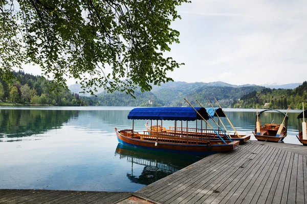 Дивовижний вид на озеро Блед. Весна або літній час у Словенія. — стокове фото