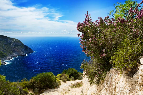 Zakynthos Island, Yunanistan — Stok fotoğraf