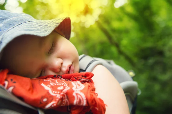 Bir doğanın arka planda taşıyıcı 1,5 yıllık çocuk ile aktif aile yürüyüş. — Stok fotoğraf