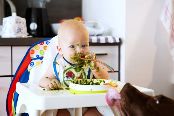 Alimentação. Primeiro alimento sólido do bebê . — Fotografia de Stock