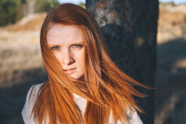 Молодая красавица с рыжими волосами на золотом поле на закате . — стоковое фото