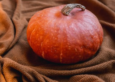 Balkabağı ve sonbahar mevsim sebze ve meyve ile natürmort. Sonbahar arka planı. 