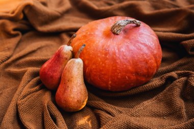 Balkabağı ve sonbahar mevsim sebze ve meyve ile natürmort. Sonbahar arka planı. 