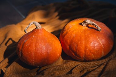 Balkabağı ve sonbahar mevsim sebze ve meyve ile natürmort. Sonbahar arka planı. 
