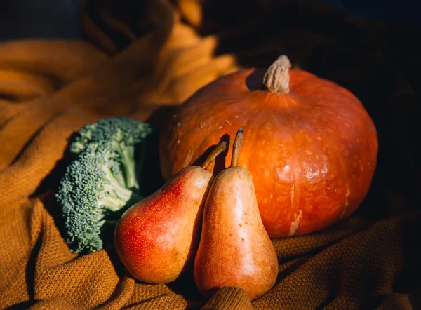 Still life with pumpkin and autumn seasonal vegetables and fruits. Autumn background. — Stock Photo, Image