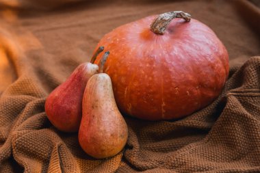 Balkabağı ve sonbahar mevsim sebze ve meyve ile natürmort. Sonbahar arka planı. 