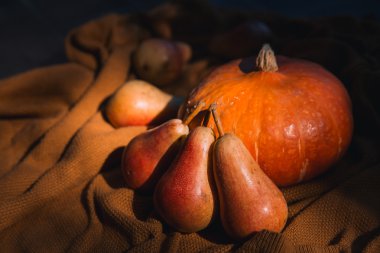 Balkabağı ve sonbahar mevsim sebze ve meyve ile natürmort. Sonbahar arka planı. 