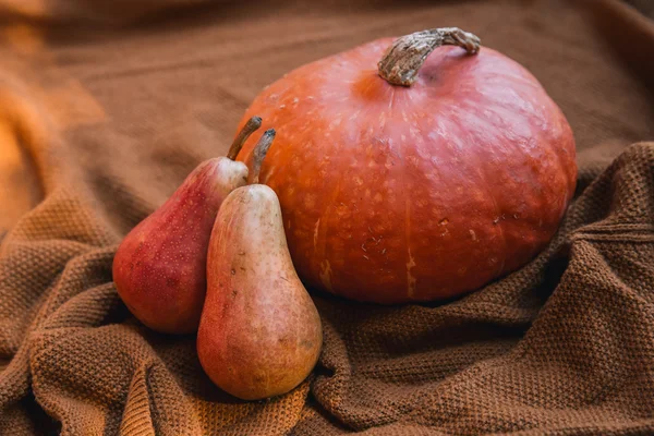 Balkabağı ve sonbahar mevsim sebze ve meyve ile natürmort. Sonbahar arka planı. 