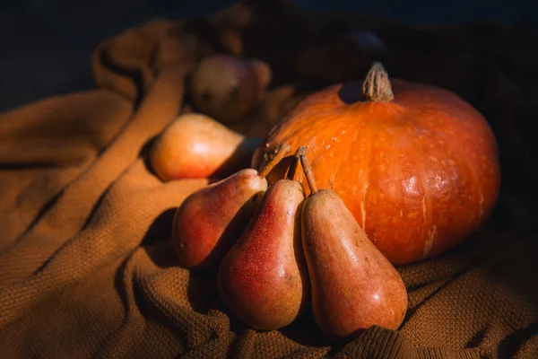 Stilleben med pumpa och höstsäsongens grönsaker och frukter. Höst bakgrund. — Stockfoto