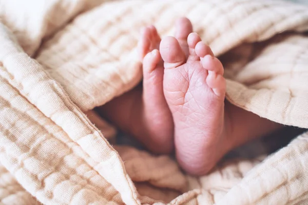 Primer Plano Lindos Pies Recién Nacidos Envueltos Manta Pequeñas Piernas —  Fotos de Stock
