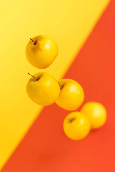 Five organic ripe juicy apples falling or hovering against a plain yellow-red background showcase a healthy lifestyle and vegetarian diet.