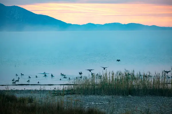 Mattina Blu Sul Lago All Alba Crow Lake Croazia Conservazione — Foto Stock