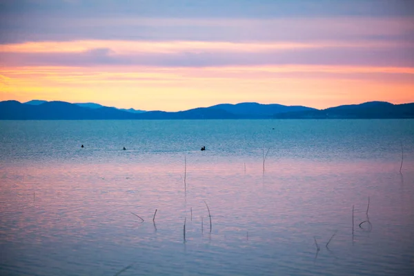 Gölde Mavi Bir Sabah Gün Doğumu Karga Gölü Hırvatistan Kuşbilimi — Stok fotoğraf