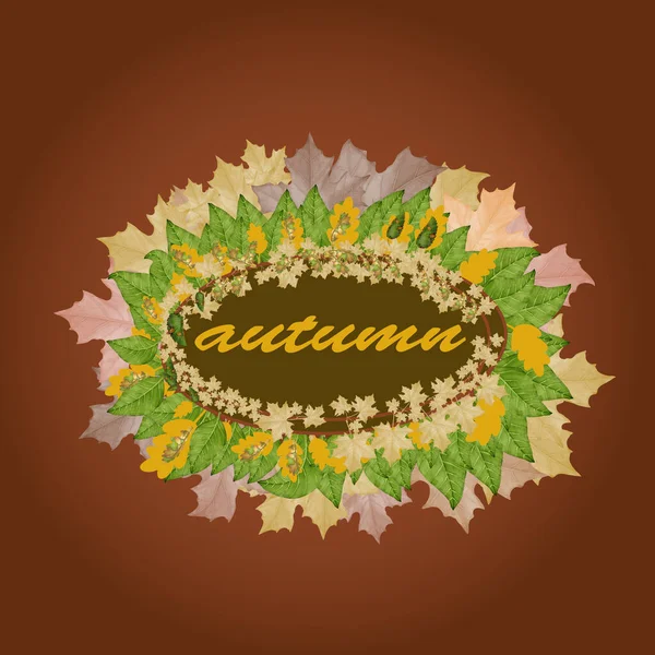 Autumn Leaves Design Graphic Elements Logo — Stock Vector