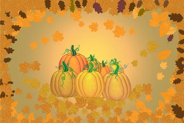 Autumn Color Pumpkin Autumn Leaves — Stock Vector