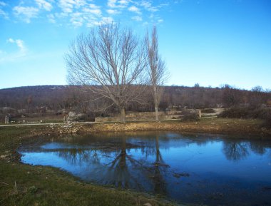 Ağaçları ve mavi gökyüzü olan güzel bir manzara. 