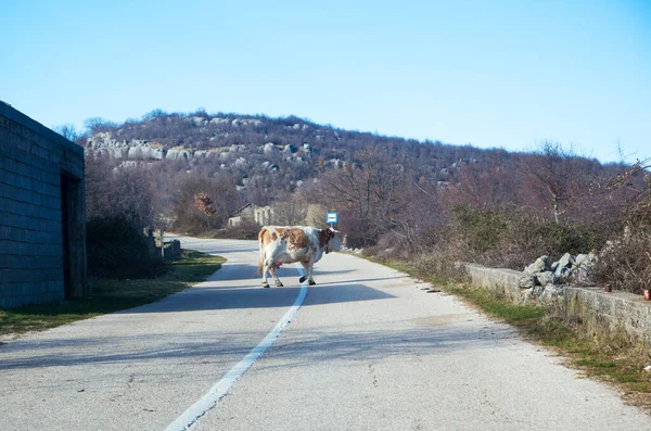 Antiguo Pueblo Las Montañas Velebit —  Fotos de Stock