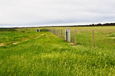 Çit ve kapı yeşil bir çayırda