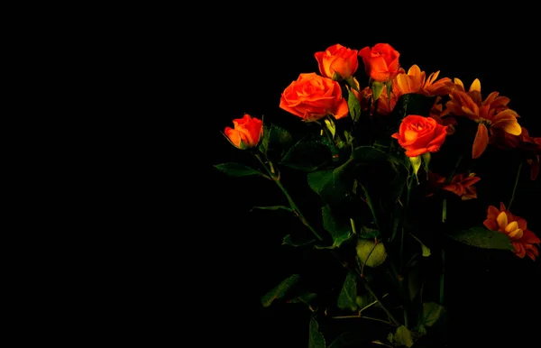 Csokor Vörös Rózsa Egy Vázában — Stock Fotó
