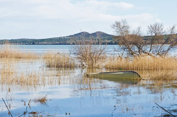 Kråksjön Ornitologiskt Reservat Kroatien — Stockfoto